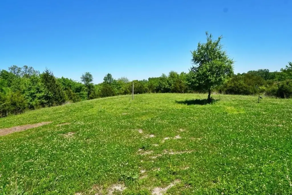 Picture 29