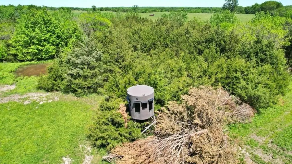 Picture 11