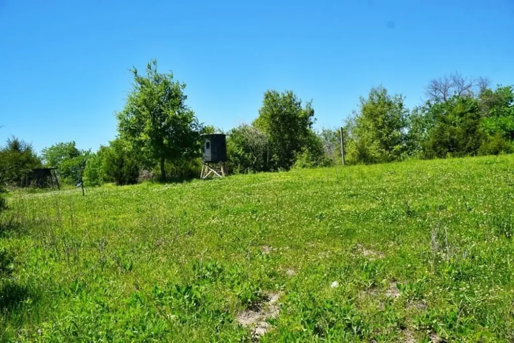 Picture 25