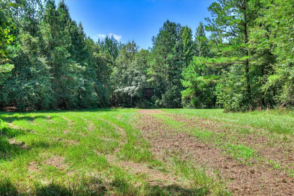 Picture 36
