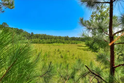 Hunting Land with Trail Network