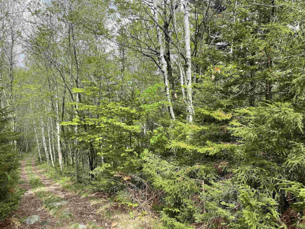 Picture 19