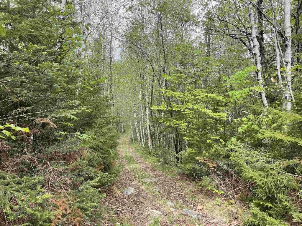 Picture 20