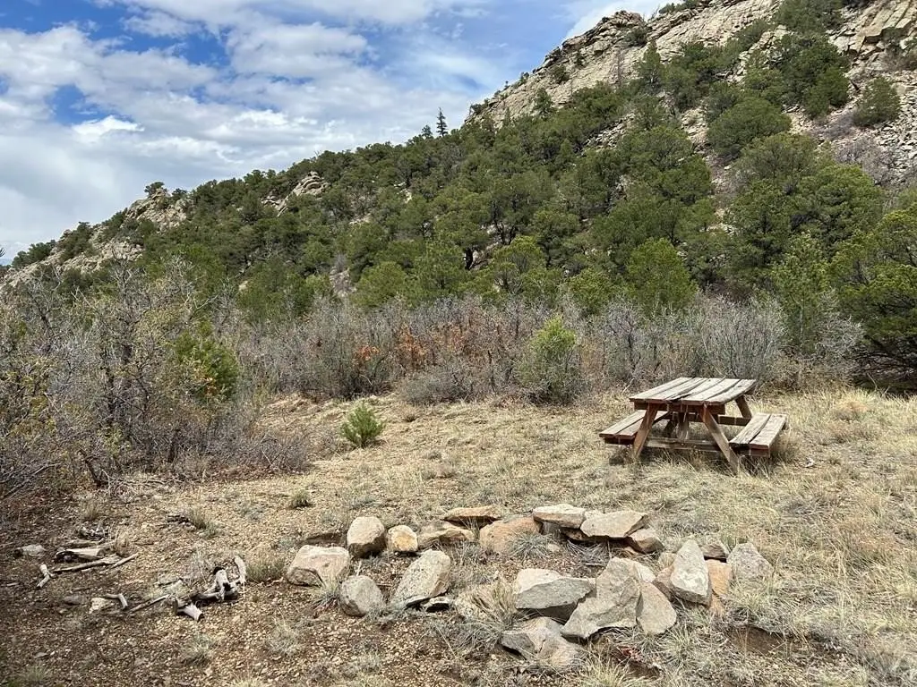 Picture 18
