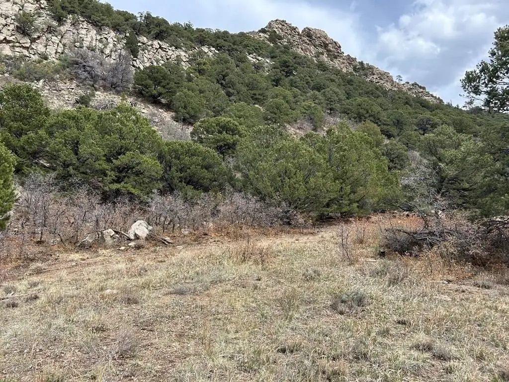 Picture 21