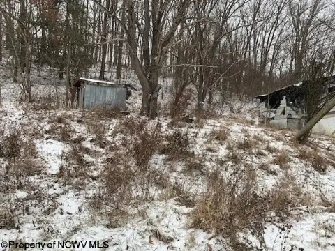 Elkins Residential Land with Home