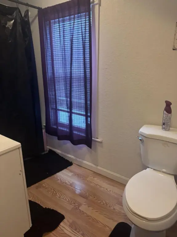 Picture 14