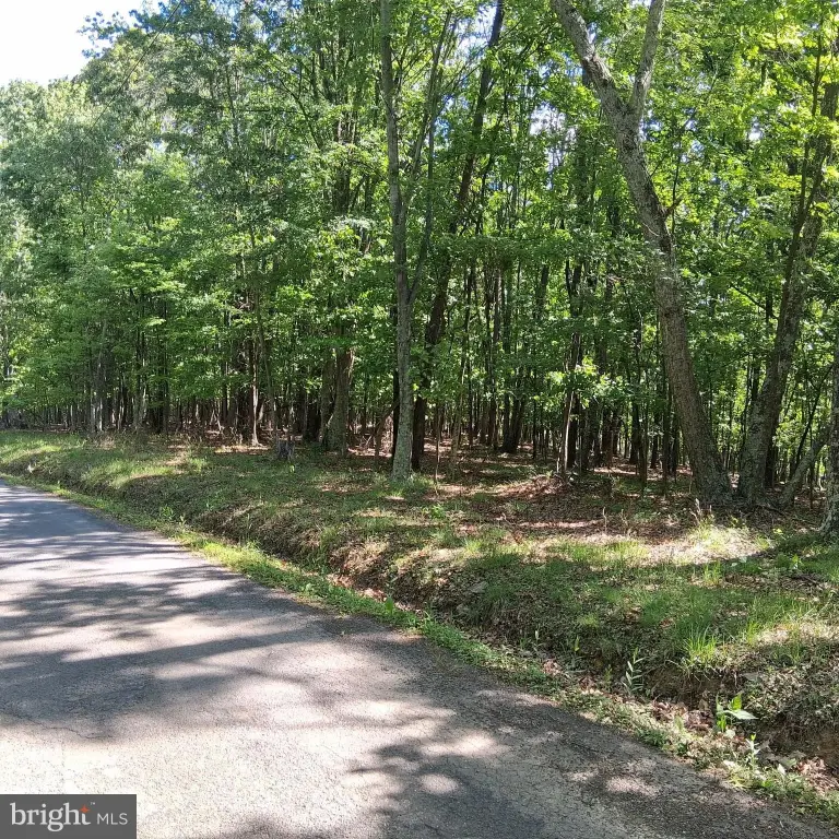 Picture 2