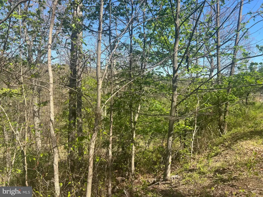 Picture 8