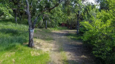 Medford Residential Lots with Views