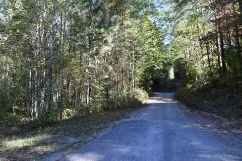 32.98 Acres in Ellijay, GA