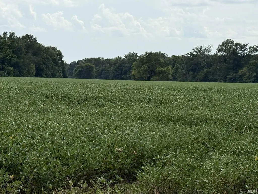 Picture 2