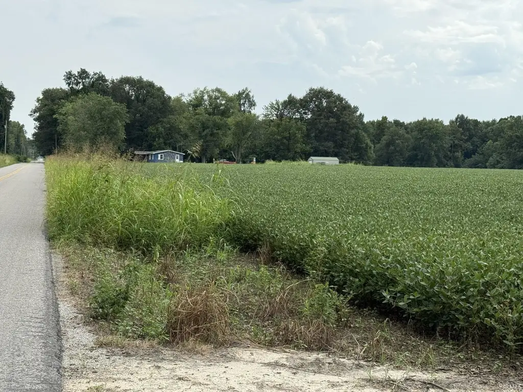 Picture 6