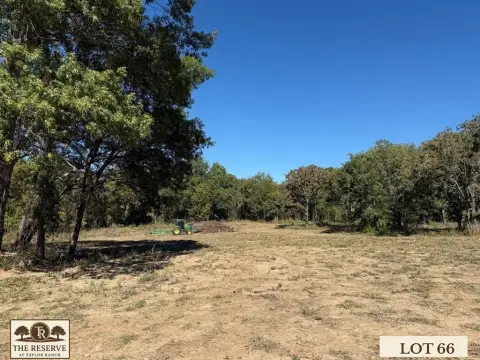 Cleared Land with Mature Oaks