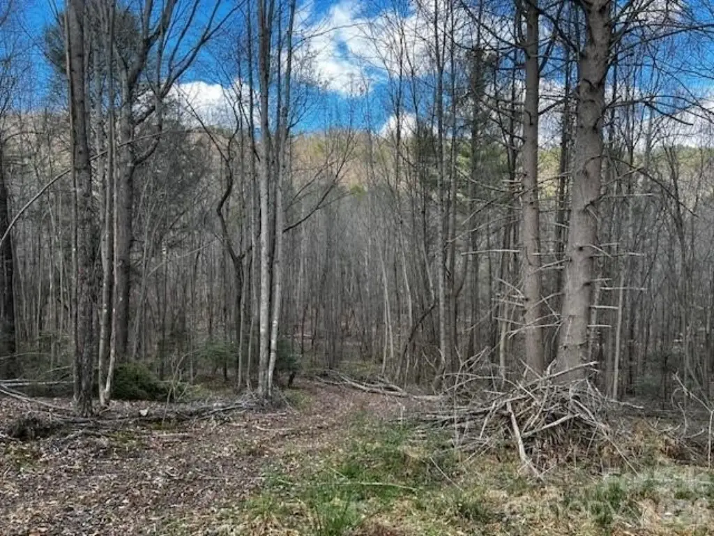 Picture 12