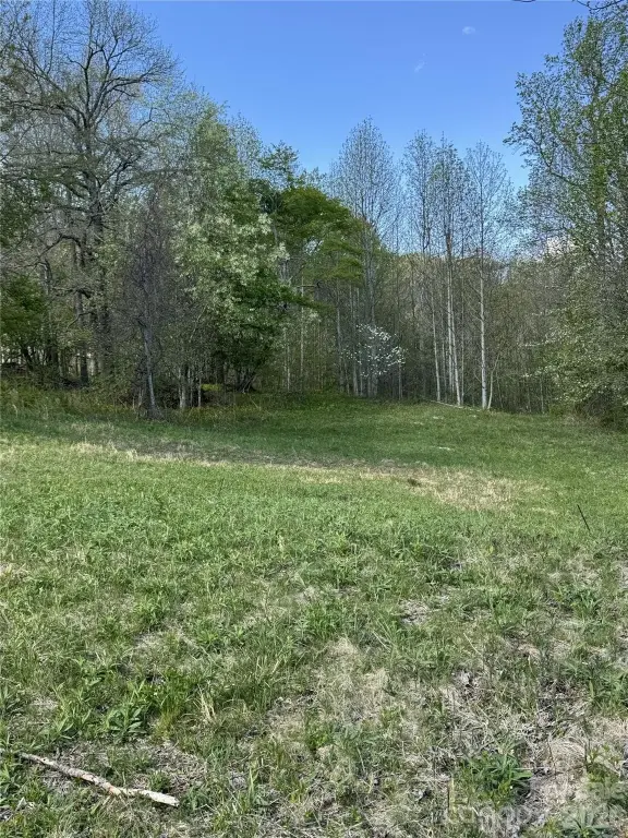 Picture 7