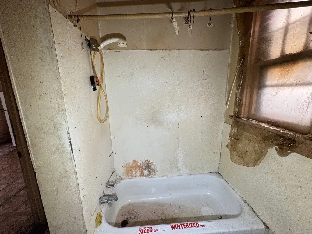 Picture 21