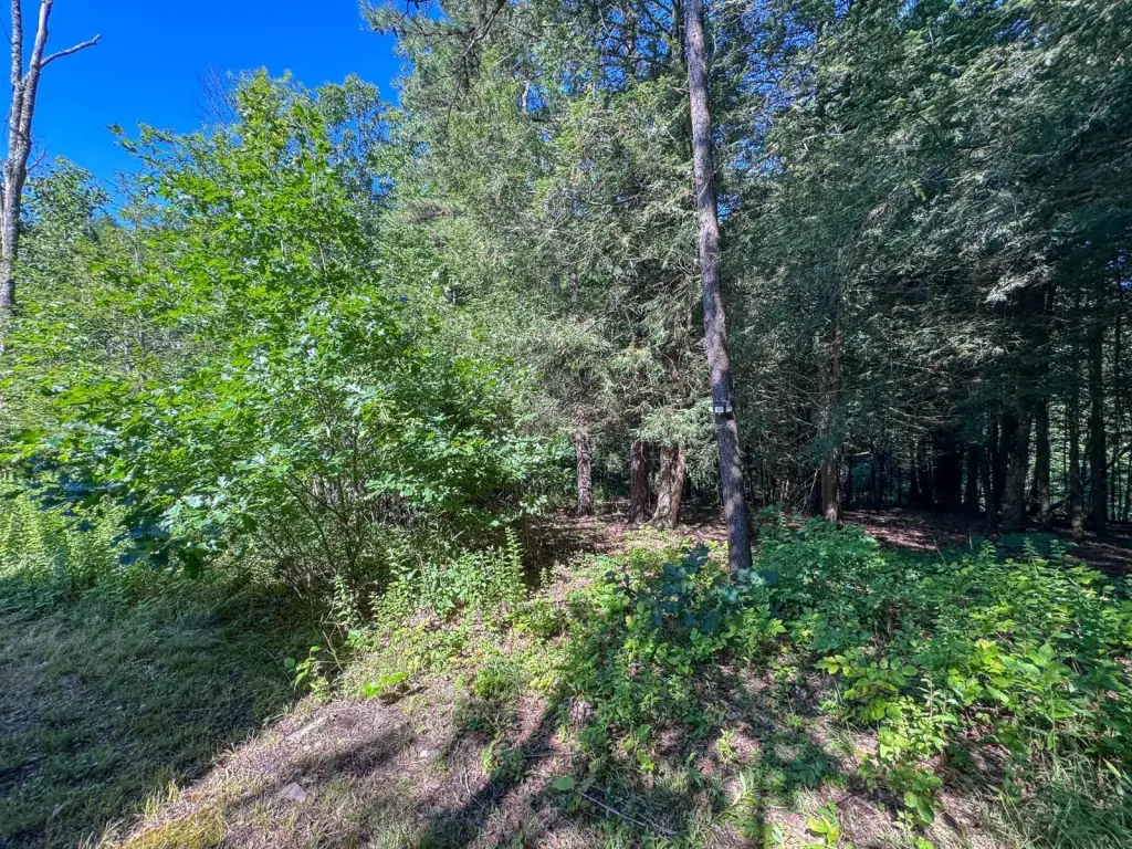 Picture 21