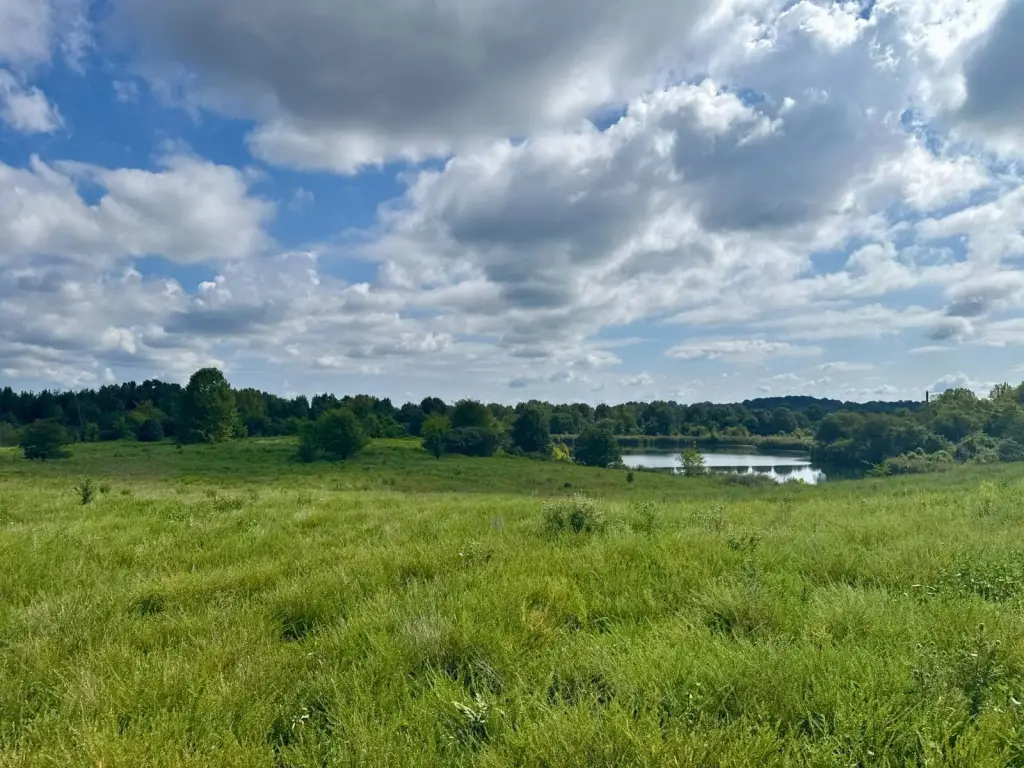 Picture 28