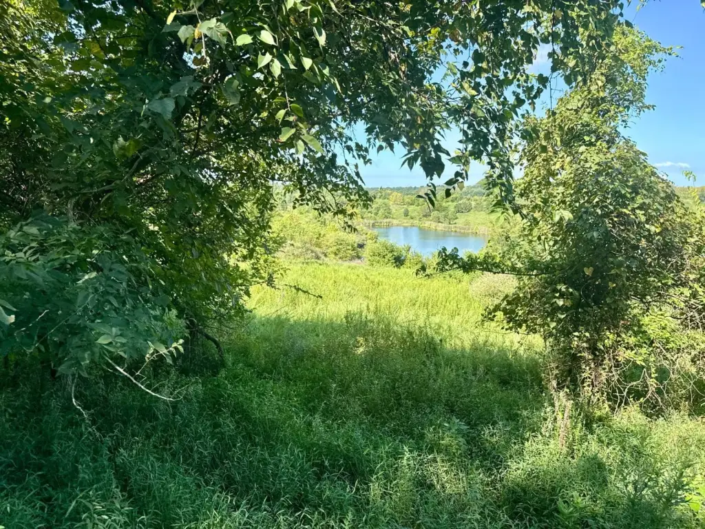 Picture 29