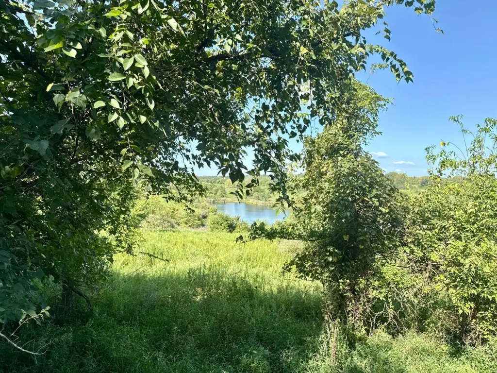 Picture 23