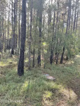 Residential Land Near Holden Beach