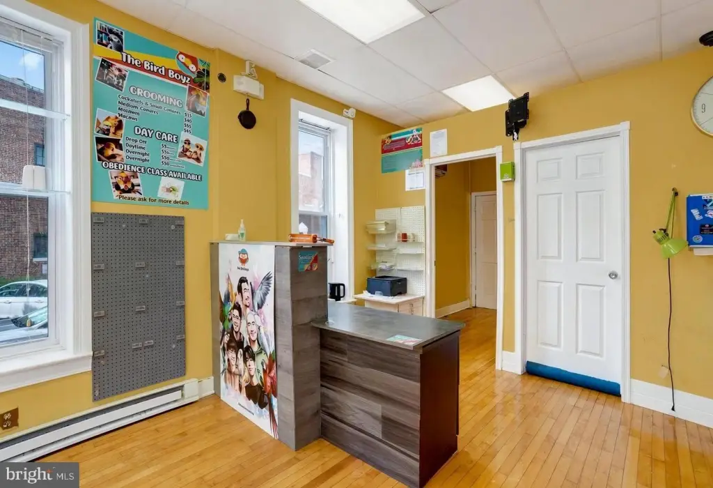 Picture 10
