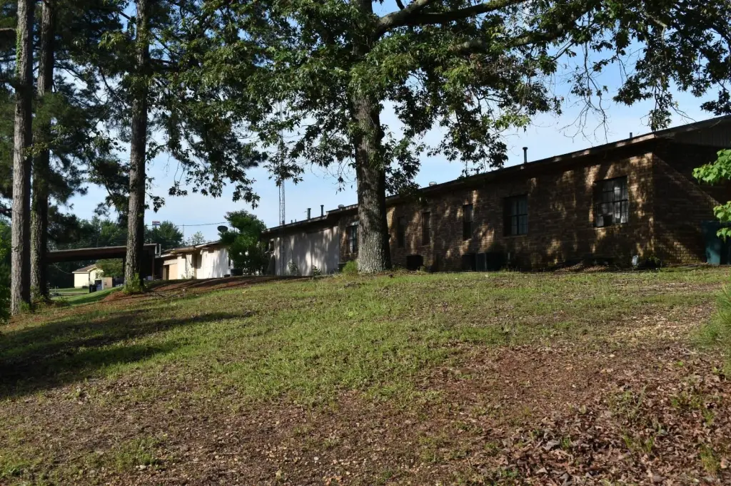 Picture 5