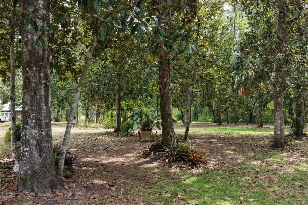 Picture 16