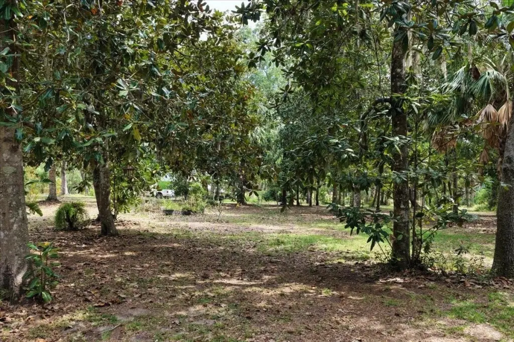 Picture 15