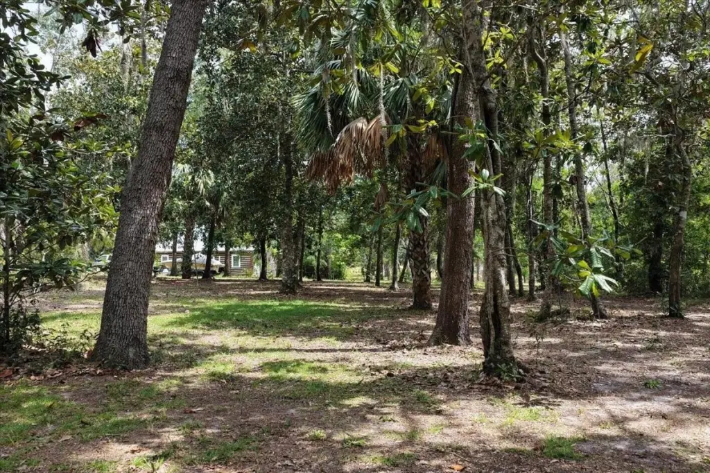 Picture 10