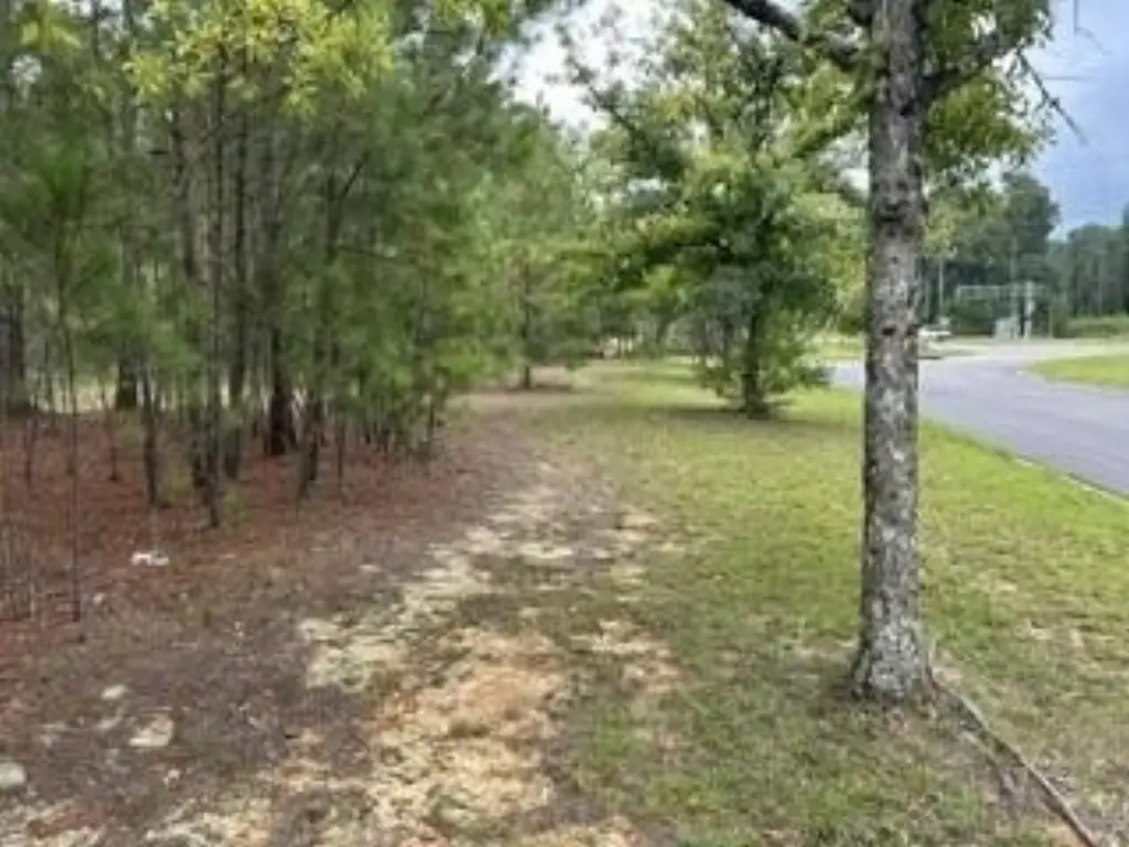 Picture 2