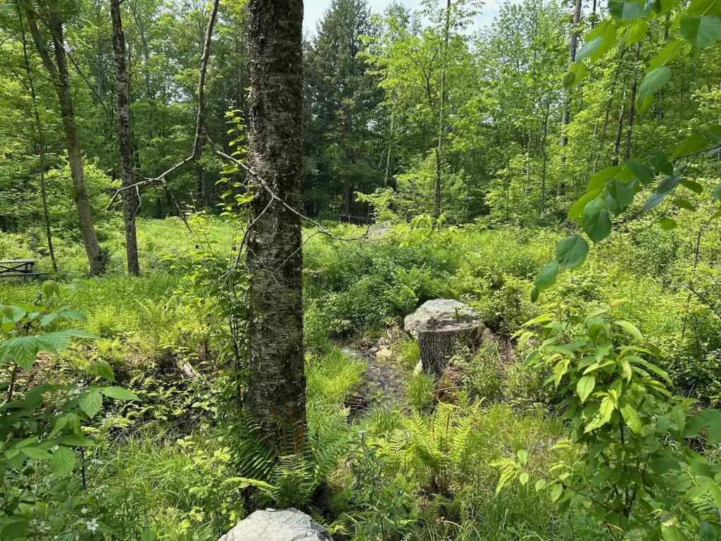 Picture 6