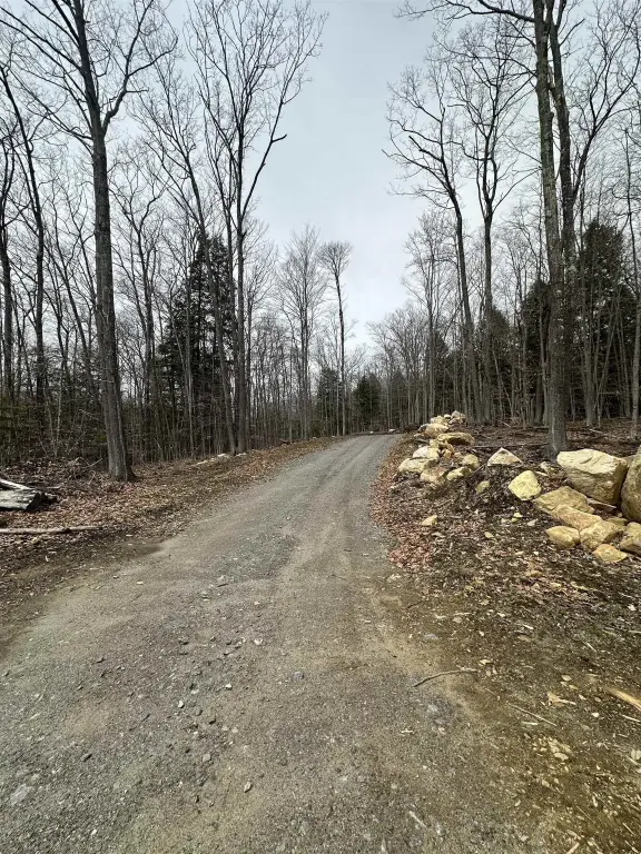 Picture 9