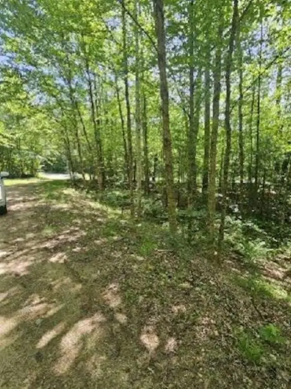 Picture 3