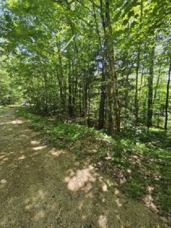 Picture 5