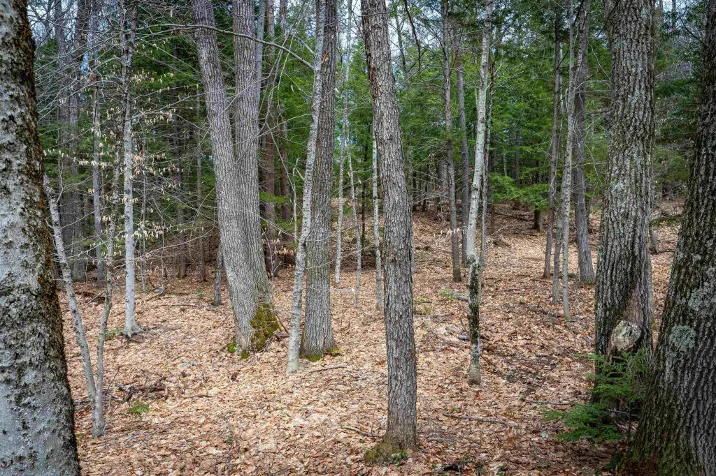 Picture 25