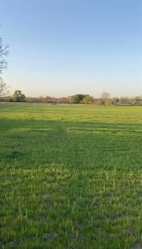 Bridgeport, TX Unimproved Land