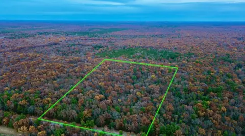 Manistee County Woodland Getaway