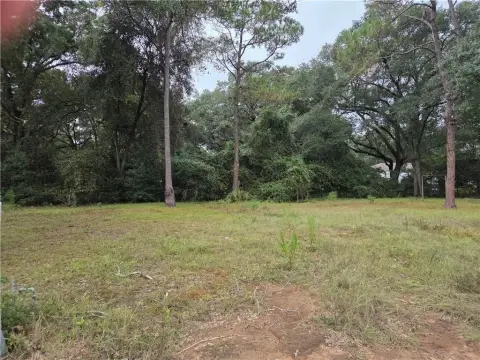 Residential Land in Theodore, AL