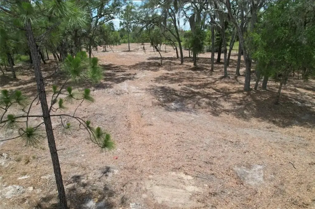 Picture 3