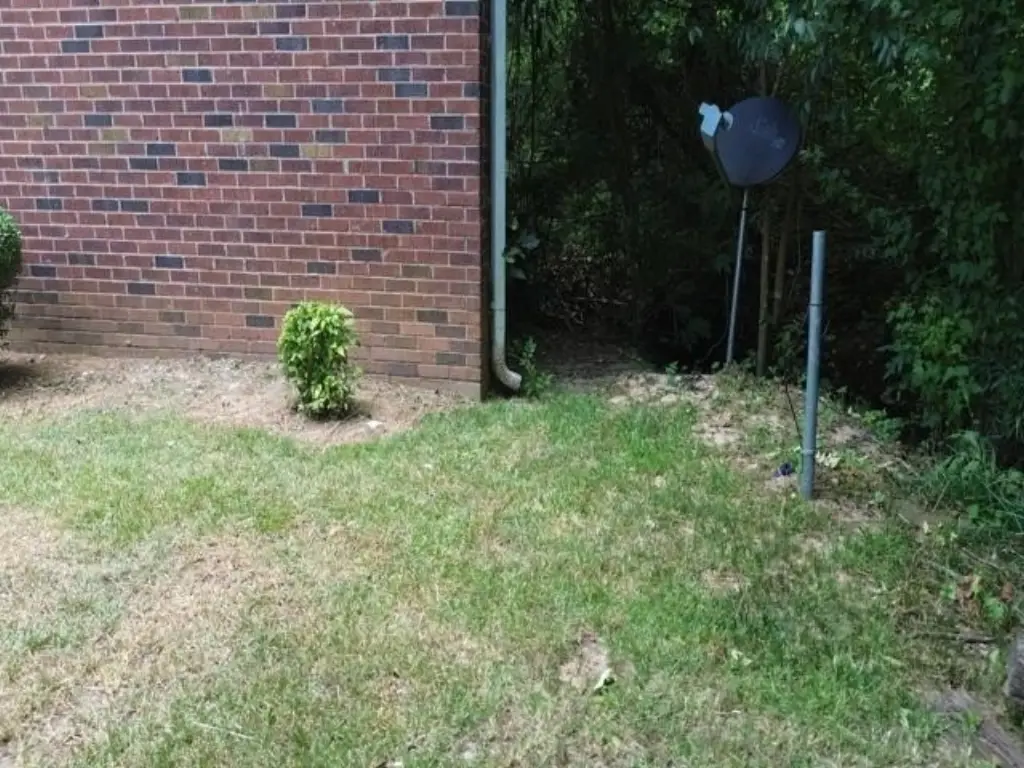 Picture 4