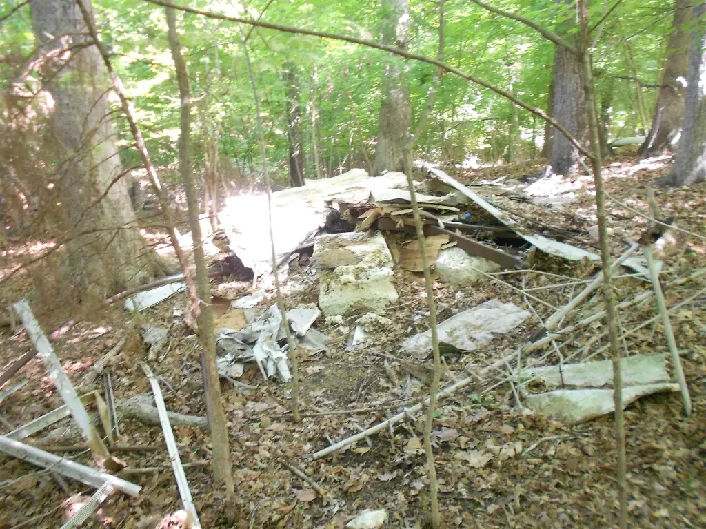 Picture 8