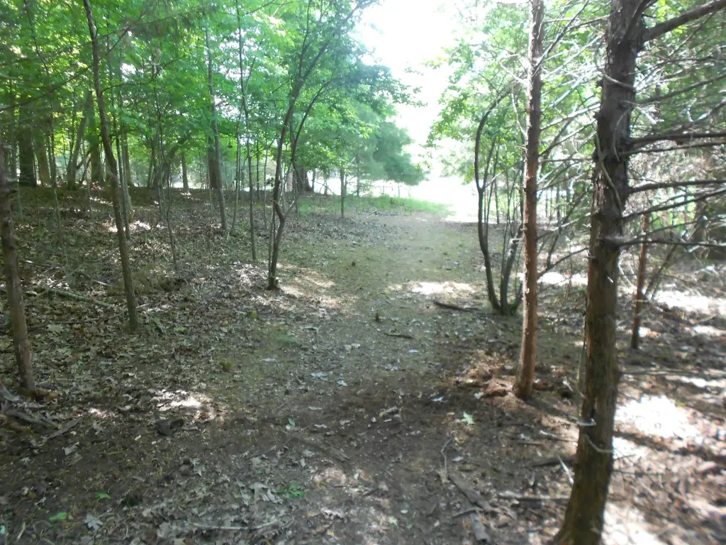 Picture 11