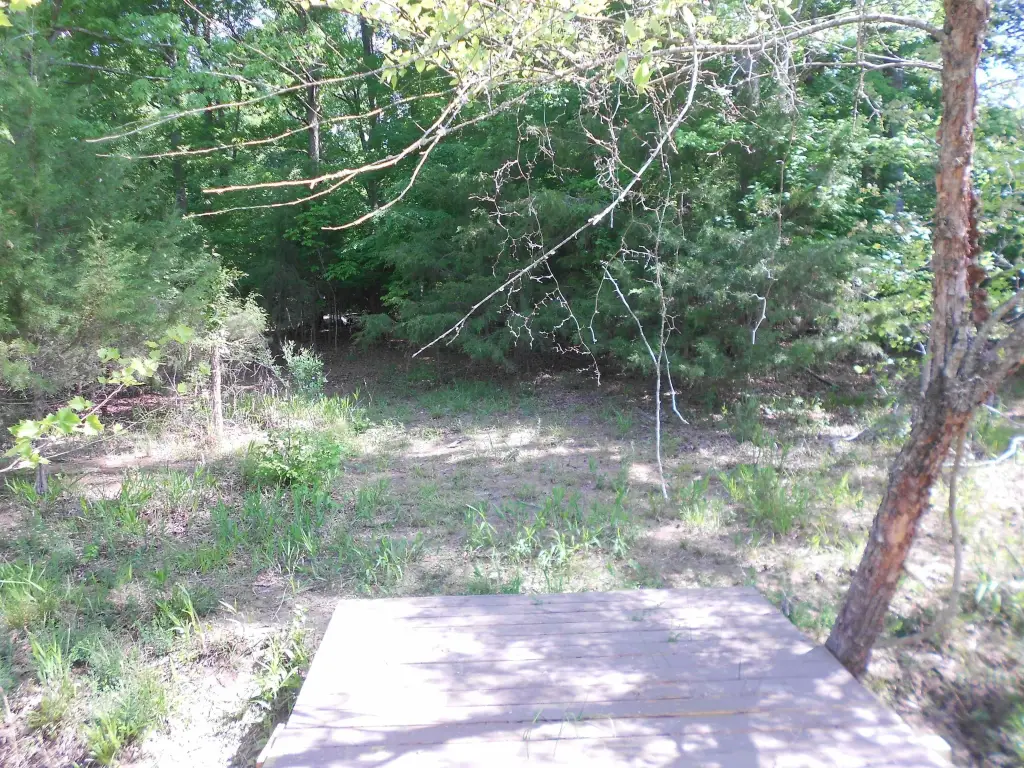 Picture 10