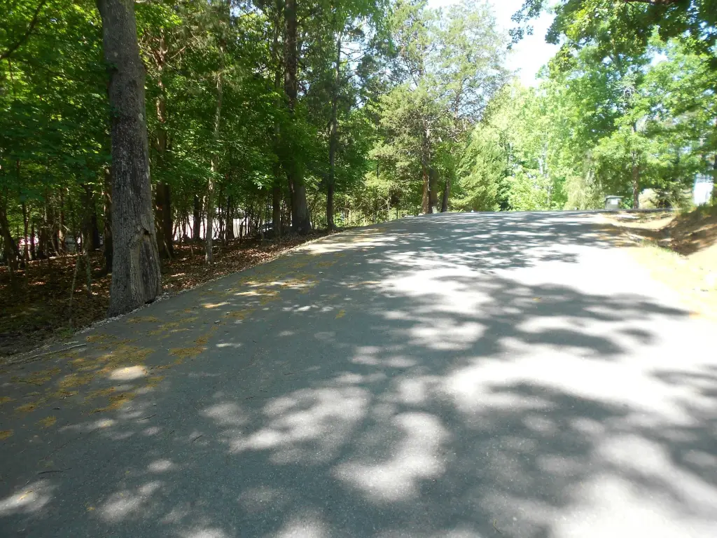 Picture 13