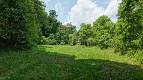 Roseville Hunting Land with Blinds