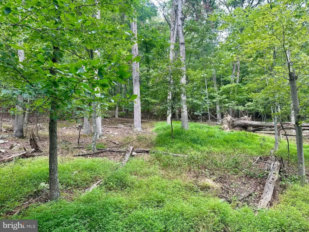Picture 30