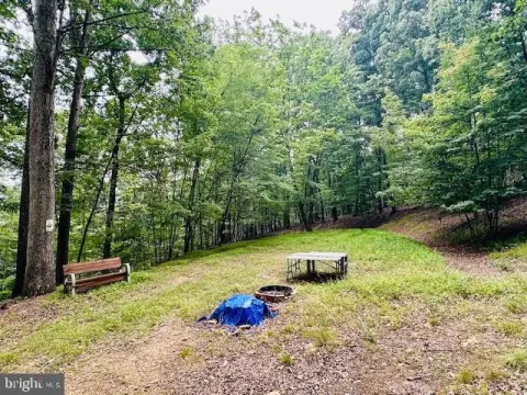 Wooded Recreational Land with Homesite