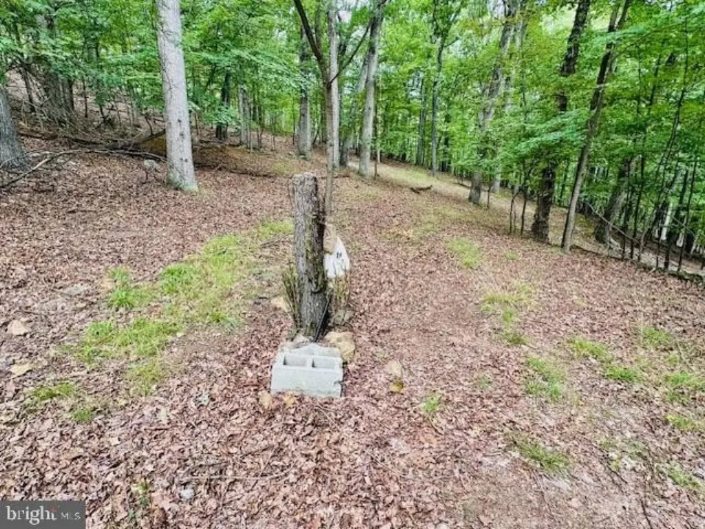 Picture 3